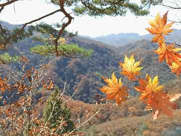 画家艺术家介绍简短英文,画家艺术家介绍简短英文版