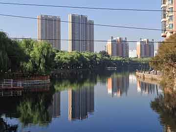 西安艺术家介绍图片高清,西安艺术家介绍图片高清大图