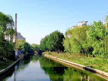 艺术市场学习视频,艺术市场探秘